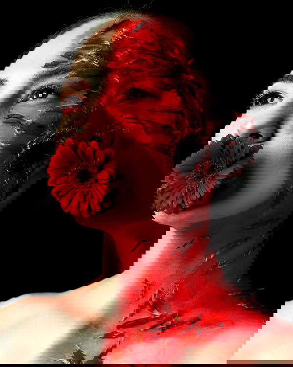 sagi.photo sagi.photo archive image