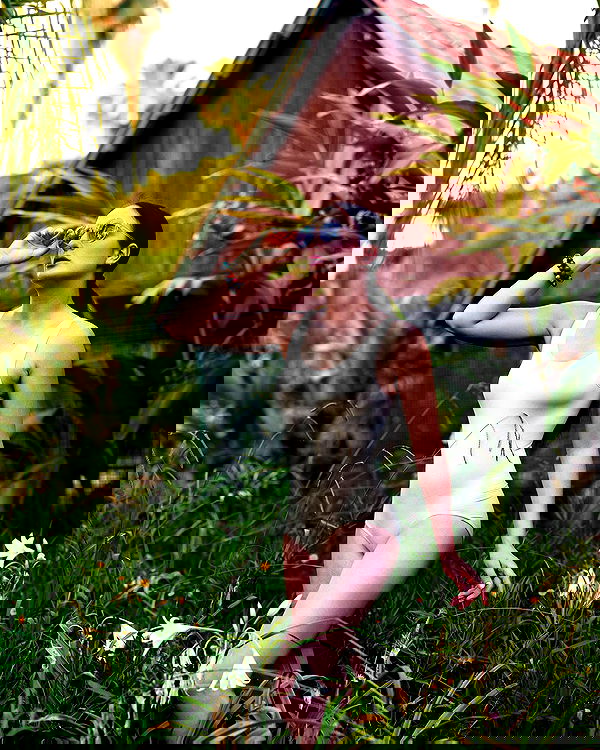 sagi.photo sagi.photo archive image