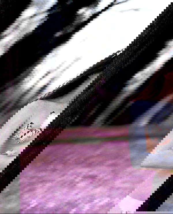 sagi.photo sagi.photo archive image