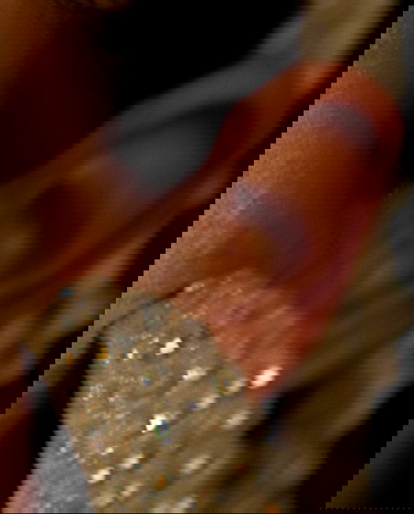 sagi.photo sagi.photo archive image