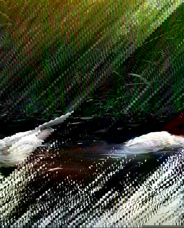 sagi.photo sagi.photo archive image