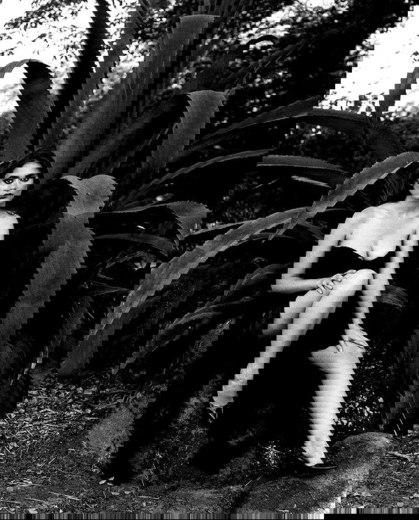 sagi.photo sagi.photo archive image