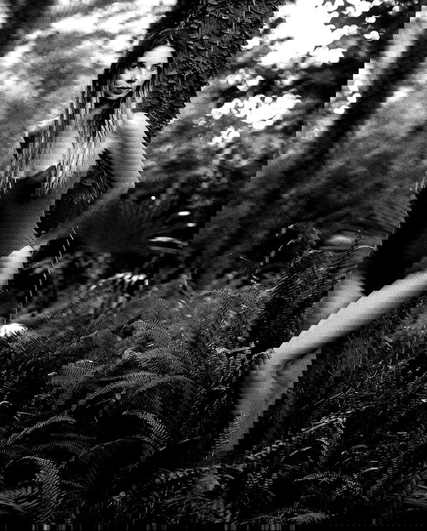 sagi.photo sagi.photo archive image