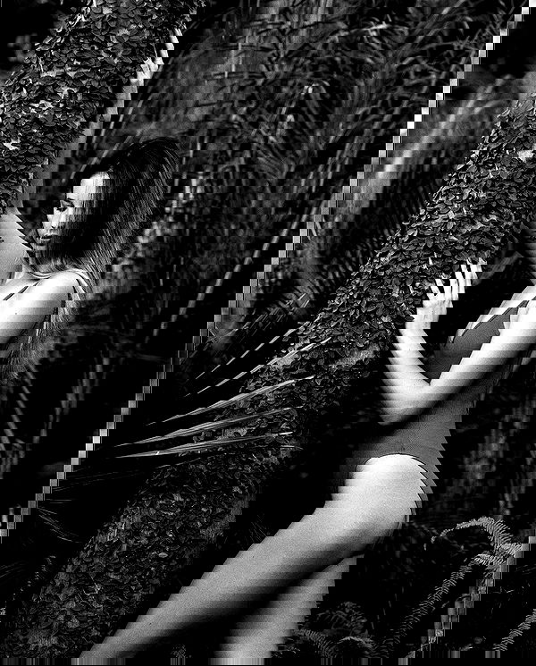 sagi.photo sagi.photo archive image