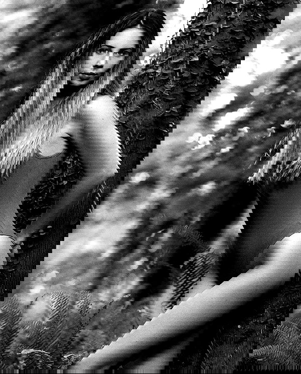 sagi.photo sagi.photo archive image