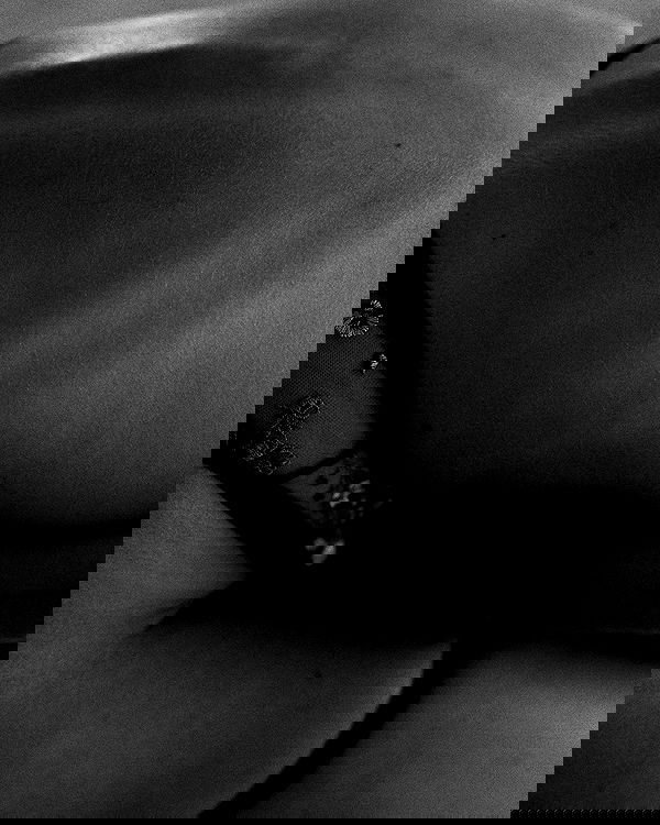 sagi.photo sagi.photo archive image