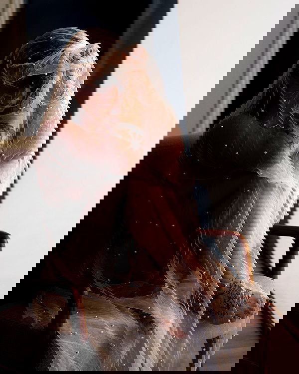 sagi.photo sagi.photo archive image