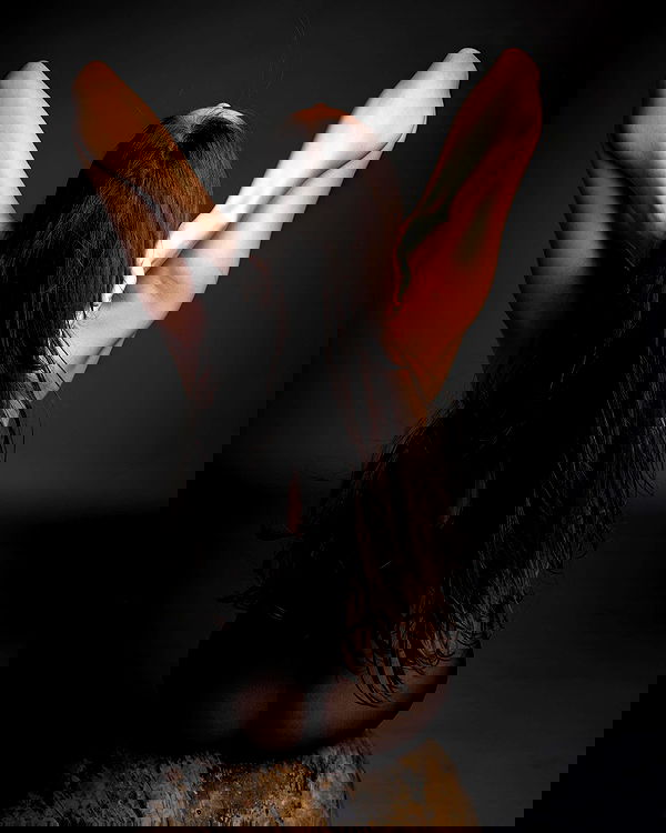 sagi.photo sagi.photo archive image