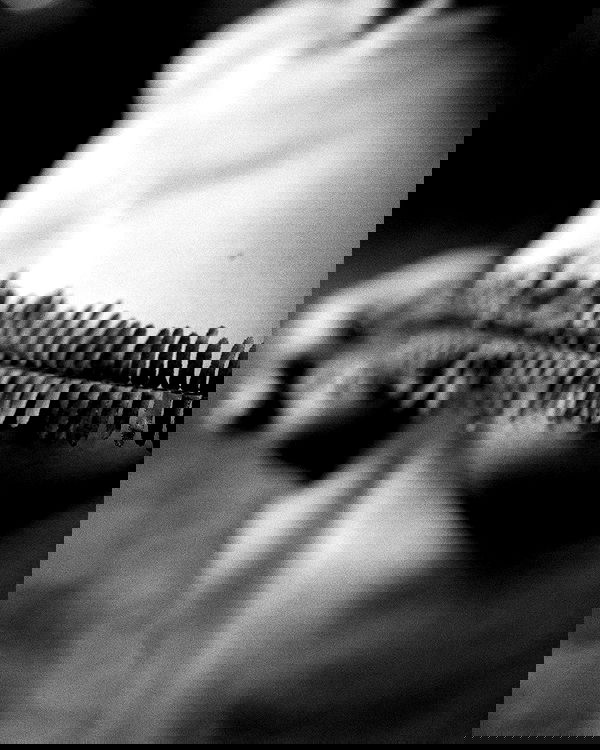 sagi.photo sagi.photo archive image