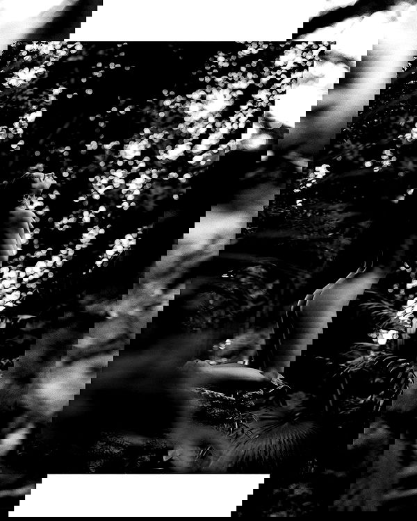 sagi.photo sagi.photo archive image