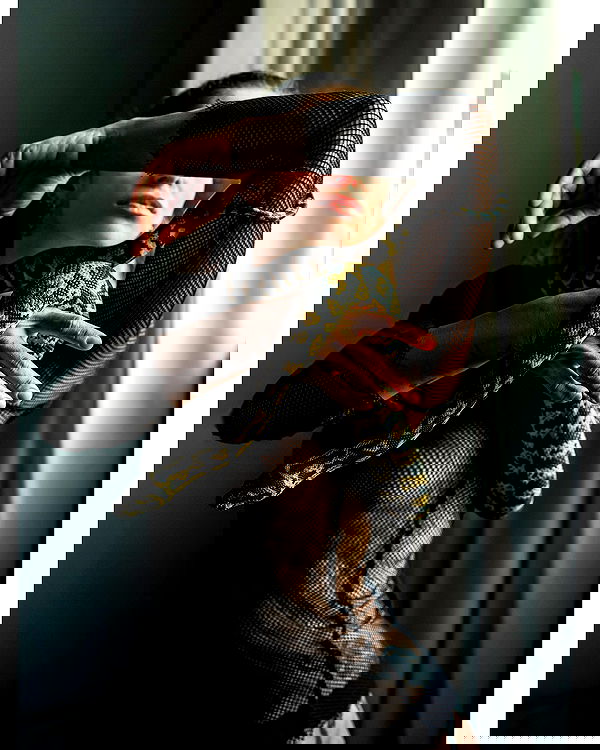 sagi.photo sagi.photo archive image