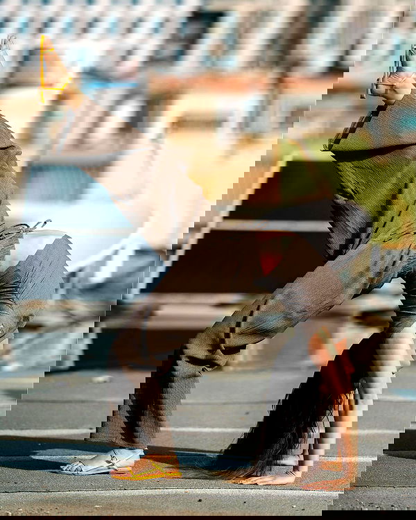 sagi.photo sagi.photo archive image