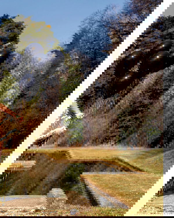 sagi.photo sagi.photo archive image