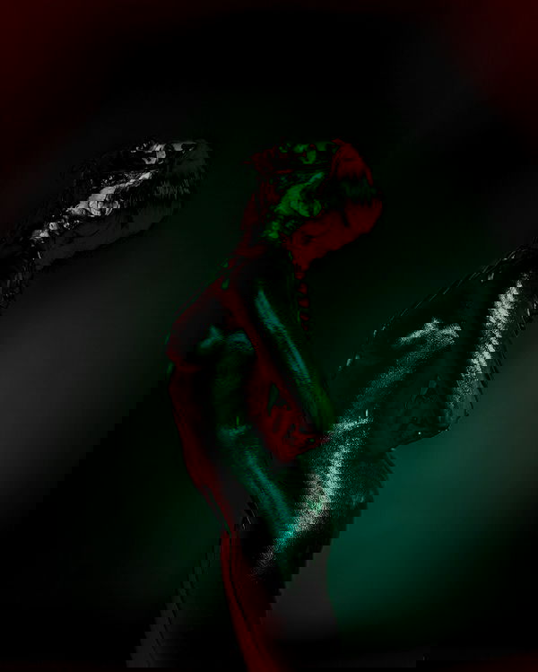 sagi.photo sagi.photo archive image