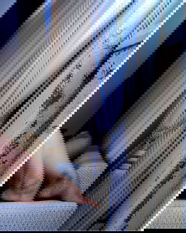 sagi.photo sagi.photo archive image