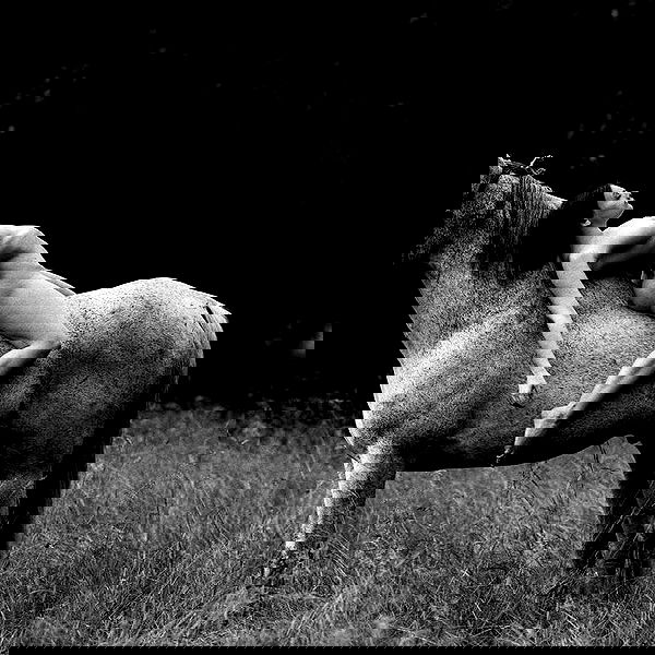 sagi.photo sagi.photo archive image