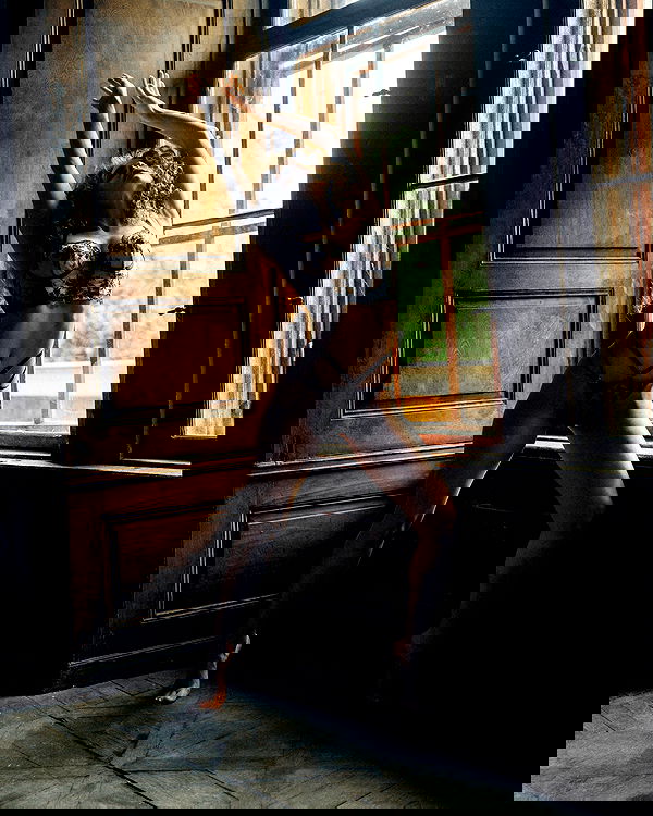 sagi.photo sagi.photo archive image