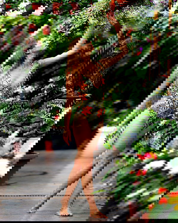 sagi.photo sagi.photo archive image