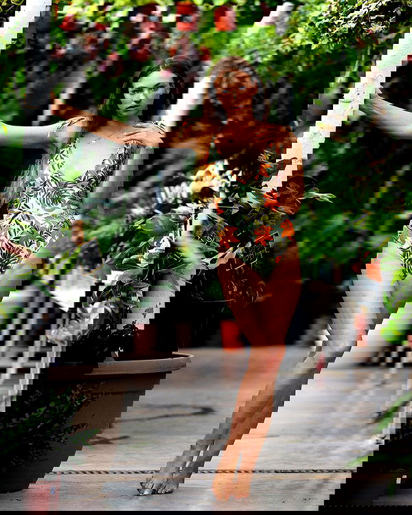 sagi.photo sagi.photo archive image