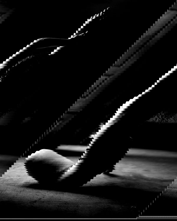 sagi.photo sagi.photo archive image