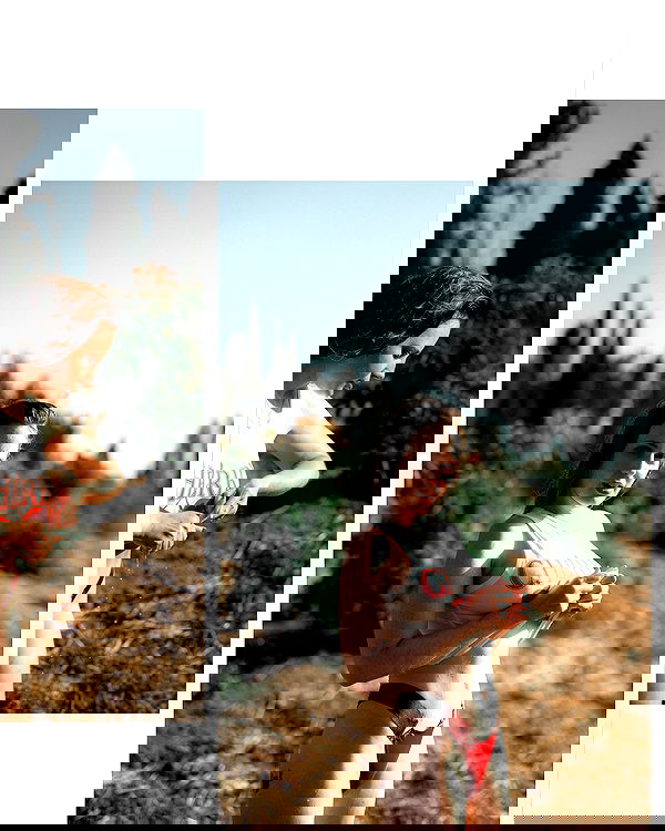 sagi.photo sagi.photo archive image