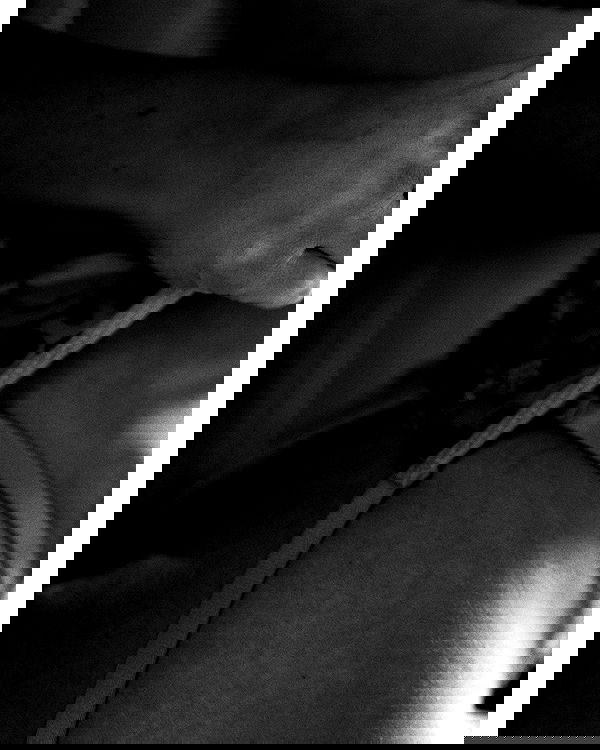 sagi.photo sagi.photo archive image