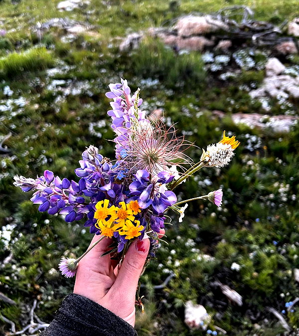 samanthacrosser instagram image archive image