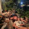 samanthacrosser Altpins Profile Picture