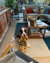 sandrineburgess Altpins Profile Picture
