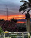 sandrineburgess Altpins Profile Picture