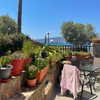 sandrineburgess Altpins Profile Picture