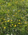 saracrumbleleg Altpins Profile Picture