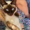 saracrumbleleg Altpins Profile Picture