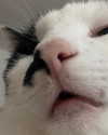saracrumbleleg Altpins Profile Picture