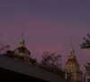 saracrumbleleg Altpins Profile Picture