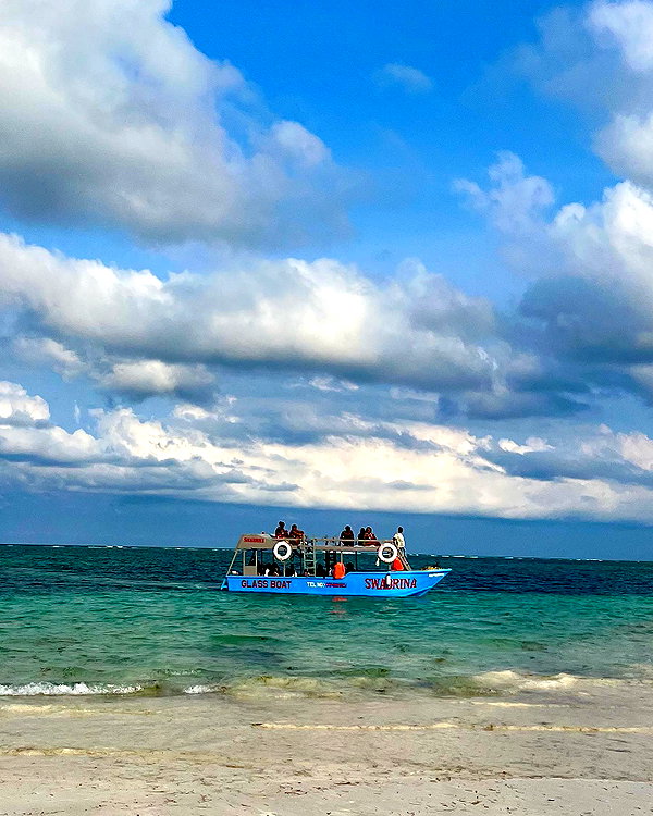 saratherefe saratherefe archive image