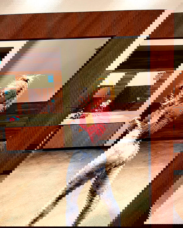 sedonaskyxo sedonaskyxo archive image