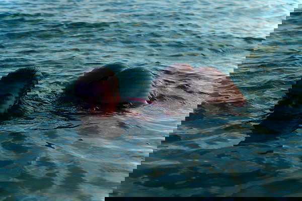 sedonaskyxo sedonaskyxo archive image