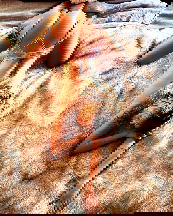 sedonaskyxo sedonaskyxo archive image