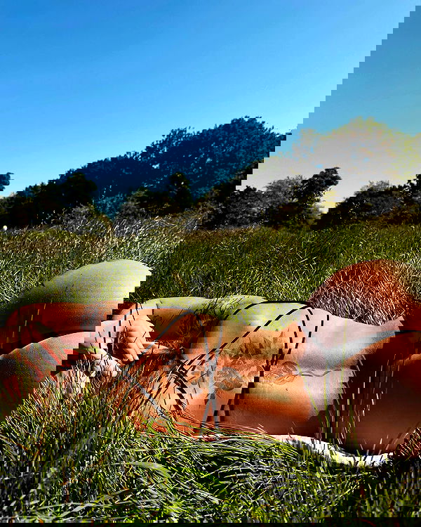 sedonaskyxo sedonaskyxo archive image