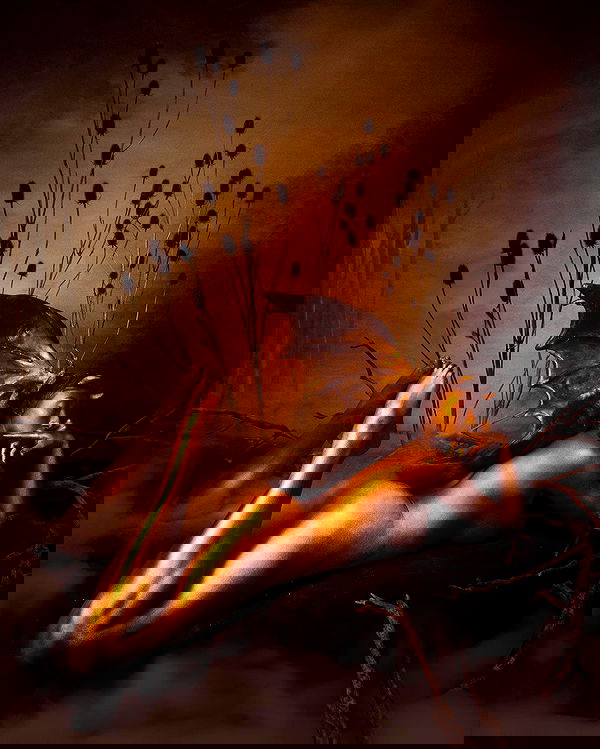 sedonaskyxo sedonaskyxo archive image