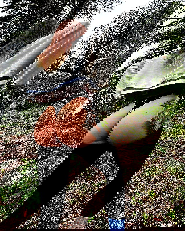 sedonaskyxo sedonaskyxo archive image