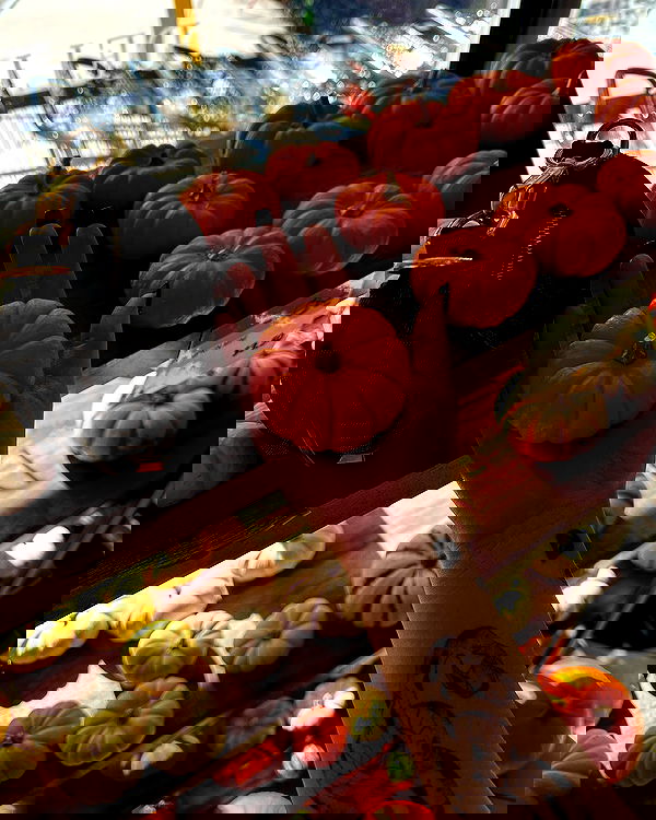 sedonaskyxo sedonaskyxo archive image