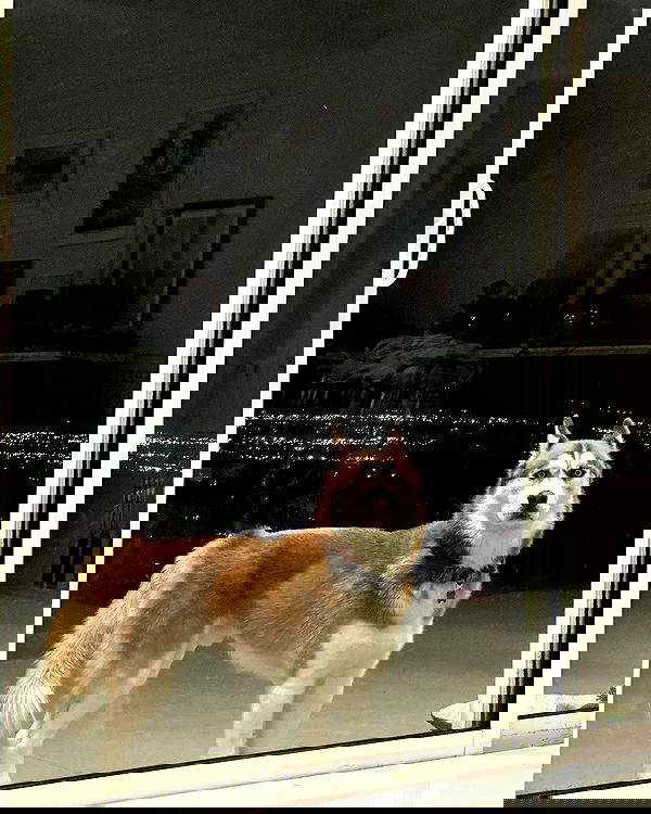 sedonaskyxo sedonaskyxo archive image