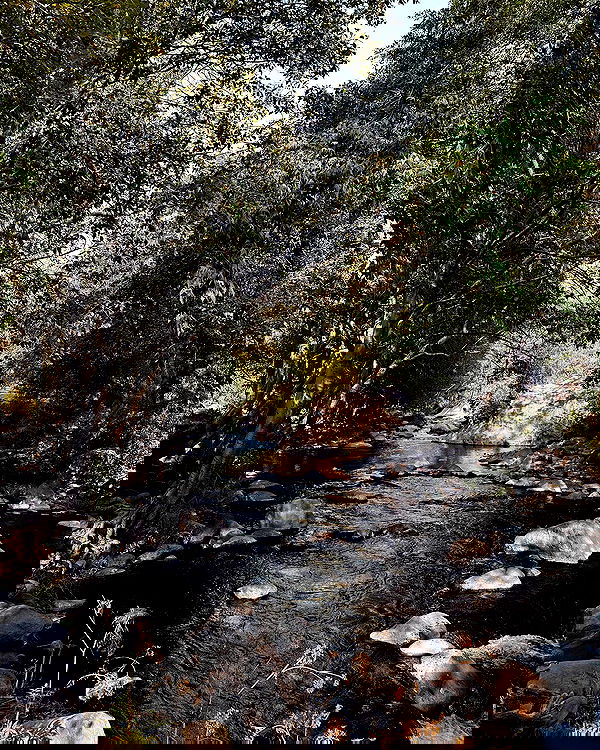 sedonaskyxo sedonaskyxo archive image