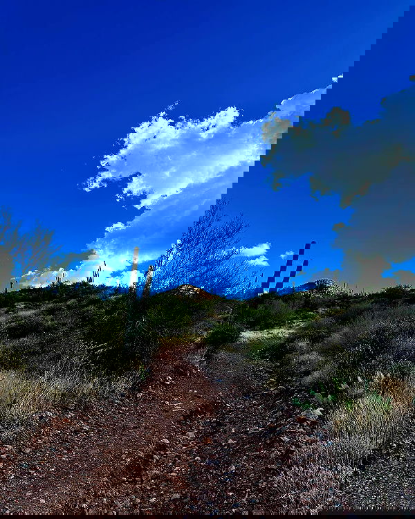 sedonaskyxo sedonaskyxo archive image