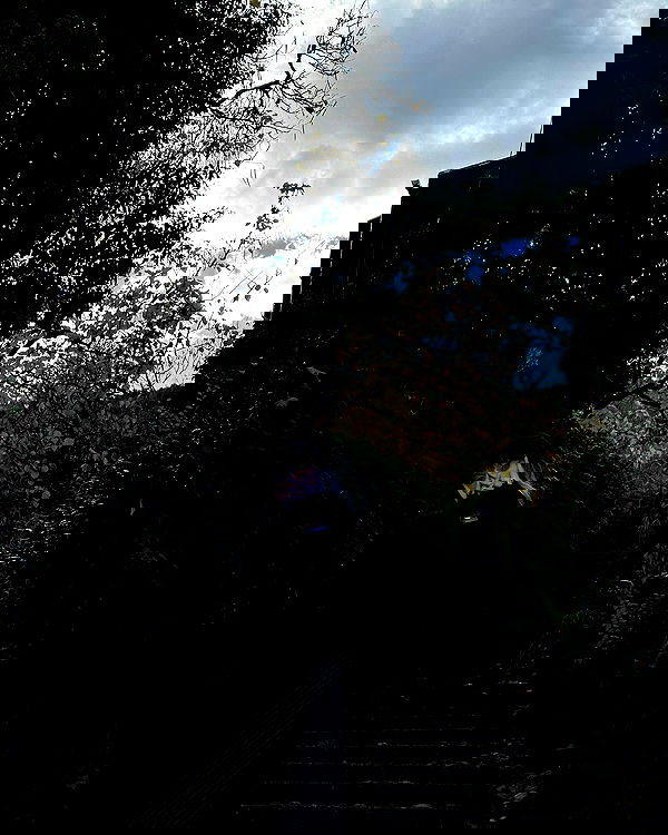 sedonaskyxo sedonaskyxo archive image