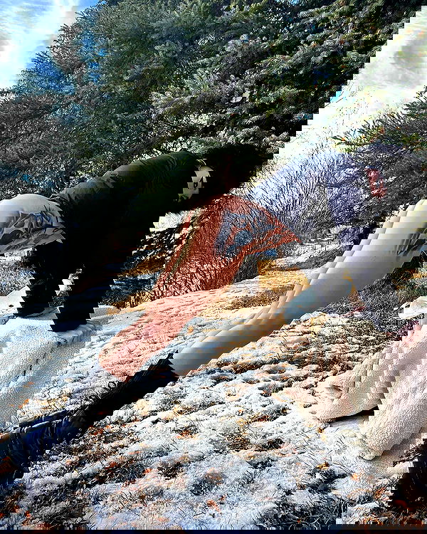 sedonaskyxo sedonaskyxo archive image