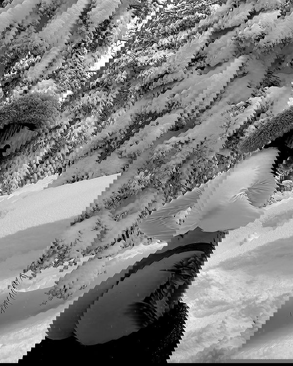 sedonaskyxo sedonaskyxo archive image