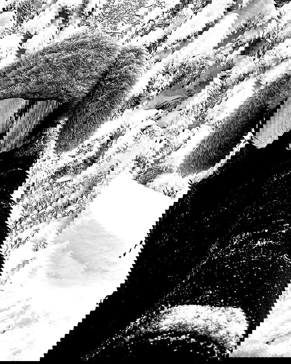 sedonaskyxo sedonaskyxo archive image